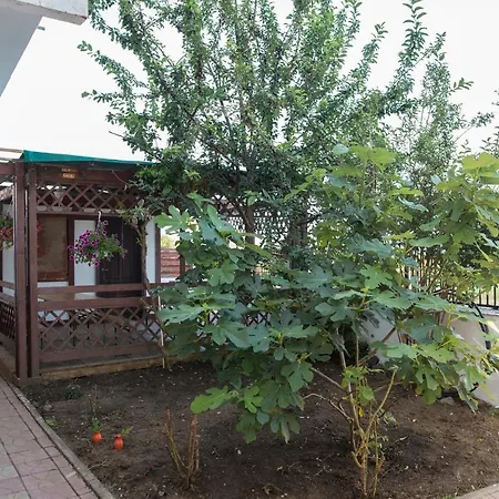 Vila Ara Pensión *